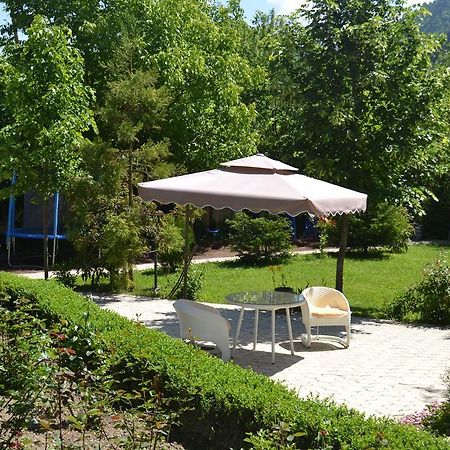 Motion Hotel Borjomi Εξωτερικό φωτογραφία